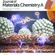 Cover_JMCA_GuGon2016.jpg