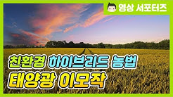 [90초과학상식] 친환경 하이브리드 농법, 태양광 이모작