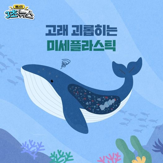 [3초뉴스]고래 괴롭히는 미세 플라스틱!