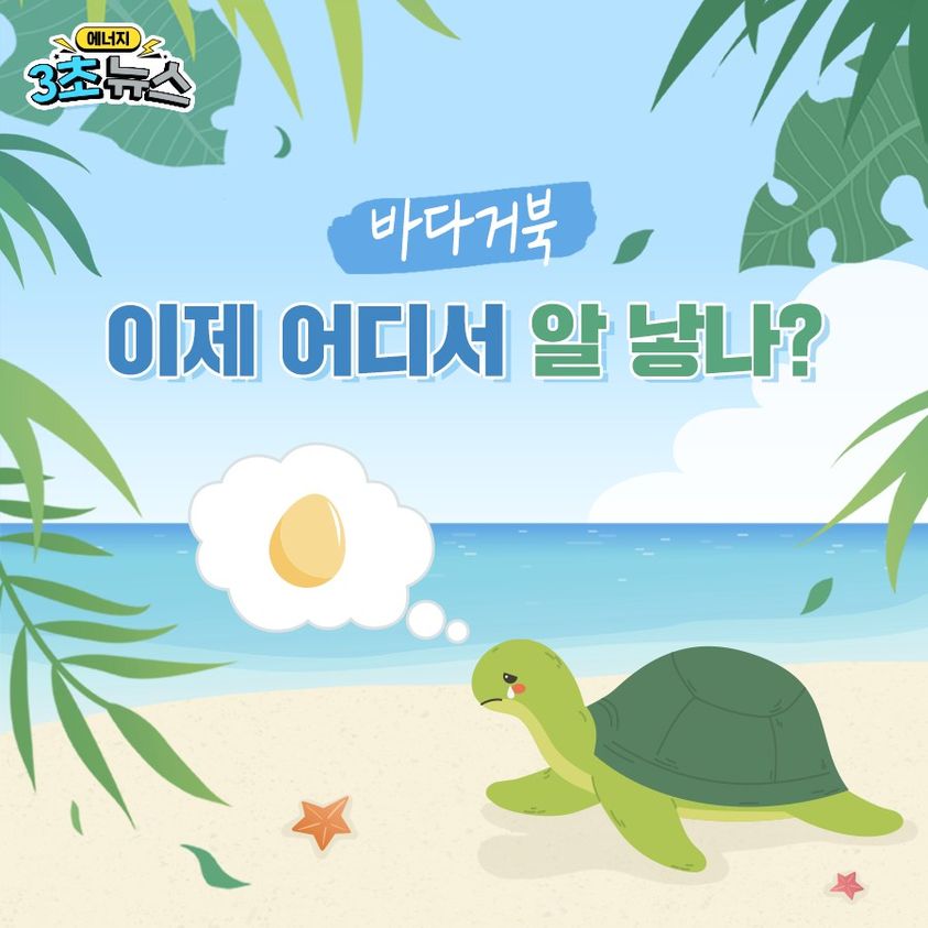 [3초뉴스]바다거북, 이제 어디서 알 낳나?