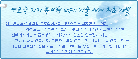 연료극 지지 튜브형 SOFC 기술 세계 최초 개발
          
기후변화협약 체결과 교토의정서의 채택으로 에너지환경 문제가 본격적으로 대두하면서 효율이 높고 친환경적인 연료전지 기술이 신에너지기술로 급부상하게 되었으며, 인산형 연료전지 기술 외에 고체 산화물 연료전지, 고분자전해질 연료전지, 직접메탄올 연료전지 등 다양한 연료전지 관련 기술의 개발이 KIER를 중심으로 국가적인 차원에서 추진되는 계기가 마련되었다.