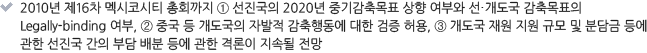 2010년 제16차 멕시코시티 총회까지 ①선진국의 2020년 중기감축목표 상향 여부와 선·개도국 감축목표의 Legally-binding 여부, ②중국 등 개도국의 자발적 감축행동에 대한 검증 허용, ③개도국 재원 지원 규모 및 분담금 등에 관한 선진국 간의 부담 배분 등에 관한 격론이 지속될 전망