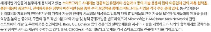 세계적인 기업들이 분주하게 움직이고 있는 스마트그리드 시대에는 전통적인 유틸리티 산업과 IT 등의 기술 응용이 많아 이종업체 간의 제휴-협력을 통한 대응이 중요하다. 전력회사들은 정부의 예산지원 등을 통한 수익 보장책을 통해 스마트그리드 사업을 적극 추진 중에 있다. 통신업체들은 전력업체와 제휴하여 인터넷 기반의 가정용 지능형 전력망 시스템을 제공하고 있으며 대형 IT 업체들도 관련 기술을 보유한 업체들과의 제휴를 통해 역량을 높이는 중이다. 구글의 경우 작년 9월 GE와 기술 및 정책 공동개발을 발표하였으며 Microsoft는 HAN(Home Area Networks) 관련 소프트웨어 개발 및 무료배포를 선언하였다. Itron, GE, Echelon 등의 전통적인 설비업체들은 자사의 기술을 개방하고 타사와의 협력체계를 강화하는 등 안정적인 서비스 제공에 주력하고 있다. IBM, CISCO등의 주요 네트워크 업체들 역시 스마트그리드 진출에 박차를 가하고 있다.